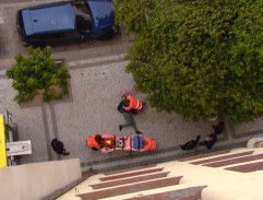 905. Svatbu si vzít nenechám