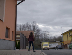 Příjezd k Brandejsovým