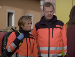 Naléhání Brandejsové