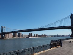 Johnův nový pejsek