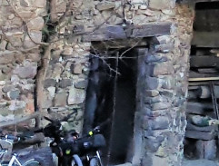 Tajemství Lesní země