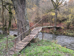 Mě, mě štípla vosááá