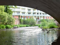 Karlovarští poníci