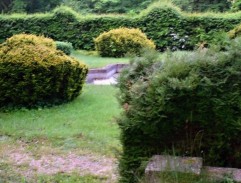 Karlovarští poníci