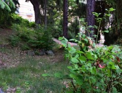 Karlovarští poníci