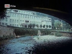 Karlovarští poníci