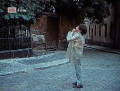 Karlovarští poníci