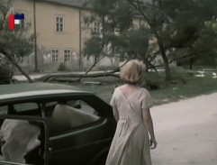 dvor Miestneho národného výboru