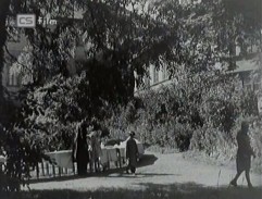 Na sluneční straně