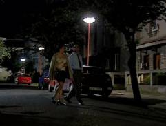 pred Ivanovskej domom