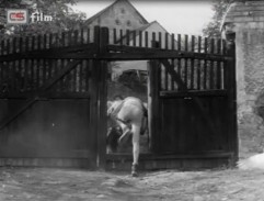 kluci utíkají brankou