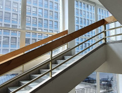 Případ krásné nerestnice