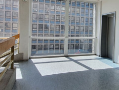 Případ krásné nerestnice