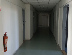 Případ krásné nerestnice