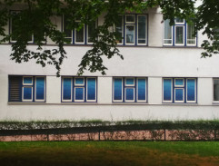 pred ženskými domovmi