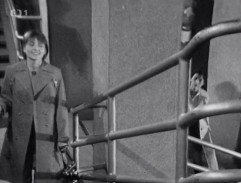 Schodiště na fakultě