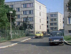 Ježkovy zraky, Libor