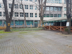 V zahradní restauraci 2