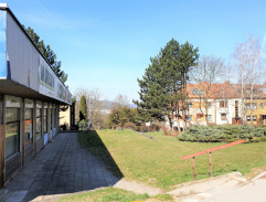 Karel jde za Dášou