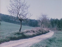 Cesta od nádraží k chatě