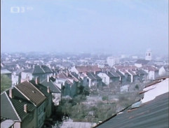 Pohled z vikýře II