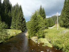 Bártovy textilní závody