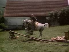 dvor Adamovho statku