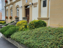 Mestský národný výbor