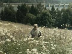 lúka nad priehradou