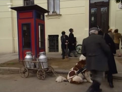 Policie přijíždí