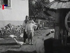 dvor tetky Budáčovej