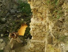 Orest z rodu čarodějů