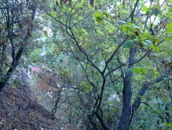 barrandovský bazén