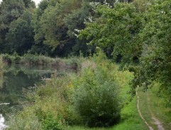 S02E03 Veľký hráč