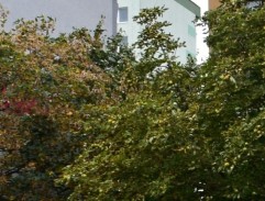 byt npor. Schneiderovej