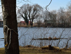 S02E06 Pandorina skrinka