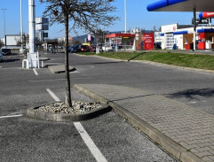 Fabia pred Shopping Palace