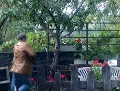 dvor Róberta Krekoviča