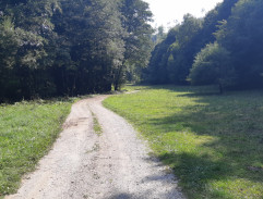 pokazená rapidečka