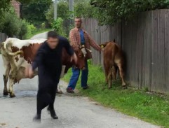 ulica v Hornej Dolnej 5