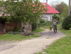 ulica v Hornej Dolnej