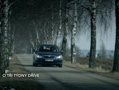 Březová alej blízko lomu