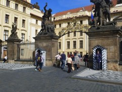 5. Parcela Hrčková