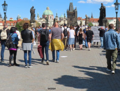 5. Parcela Hrčková