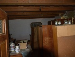 Prokletý služebník lásky