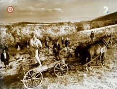 Prokletý služebník lásky