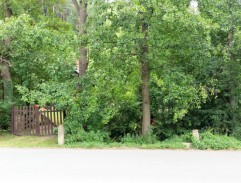 4. Opožděná vražda