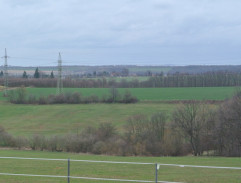 Lada Brůhová na koni