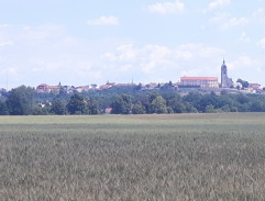 Něžné vlny