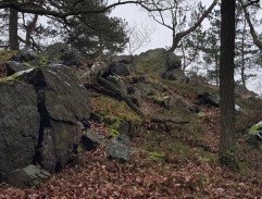 Jan v Zapovězeném lese